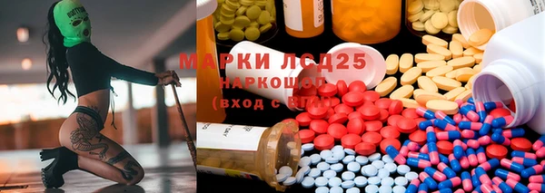 ГАЛЛЮЦИНОГЕННЫЕ ГРИБЫ Алексеевка